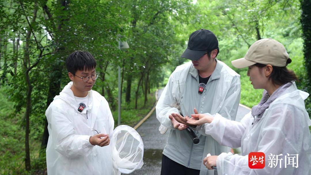 澳门平特一肖100%免费_新闻多一度丨列车停运、考试暂停……南方多地汛情如何？