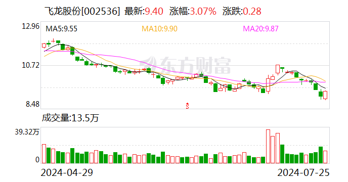 飞龙股份：上半年净利润同比增长29.24%  第1张