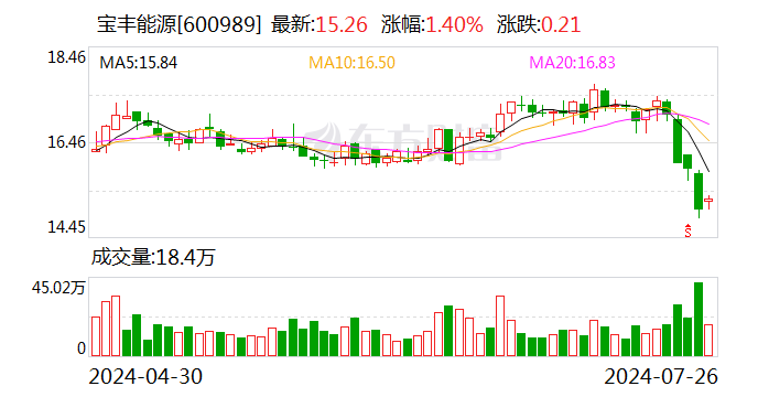 宝丰能源业绩快报：上半年净利润同比增长46.41%  第1张