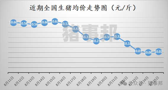 猪事邦||8月25日猪价汇总（周猪价10.16元/斤，环比跌3.6%，同比涨18.9%！）  第2张