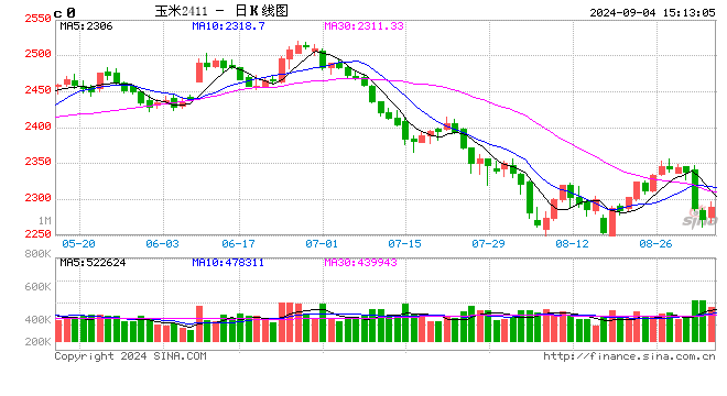 玉米九月供应宽松 预计价格先涨后跌